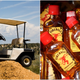 Illustration for article titled Florida man arrested in golf cart with 5 bottles of Fireball